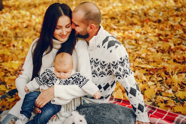 Family with son in a autumn park