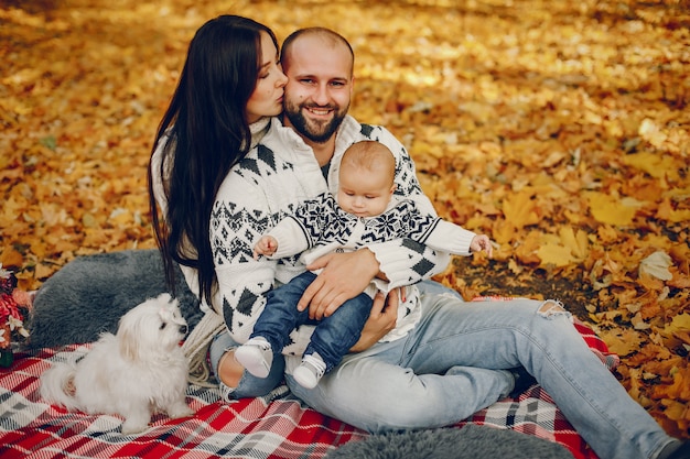 Family with son in a autumn park