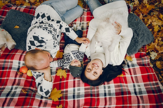 Family with son in a autumn park