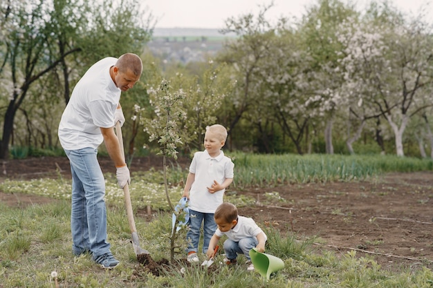 Family with with little sons are planting a tree on a yard