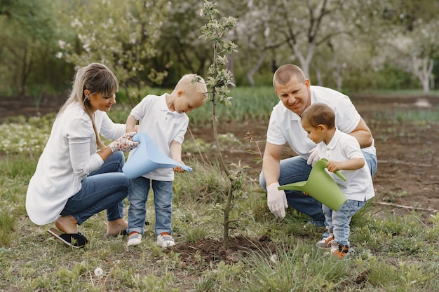 작은 아들이있는 가족은 마당에 나무를 심고 있습니다.