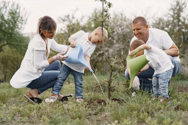 Family with with little sons are planting a tree on a yard