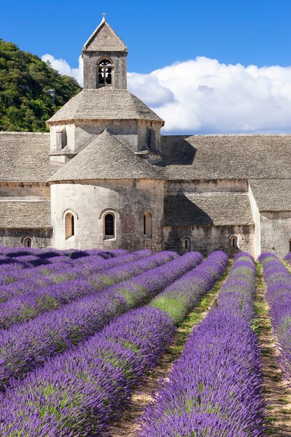 Senanque의 유명한 수도원. 프랑스.