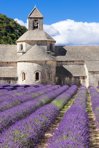 セナンクの有名な修道院。フランス。