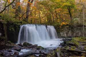 Free photo famous choshi otaki waterfall in the aomori prefecture in japan