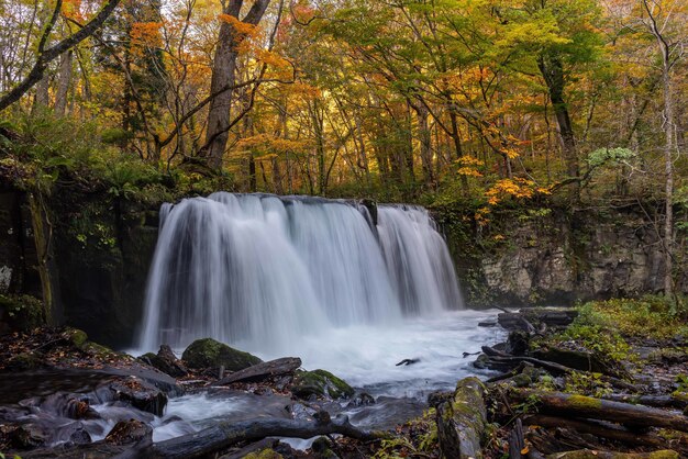 Famous Choshi Otaki Waterfall in the Aomori Prefecture in Japan