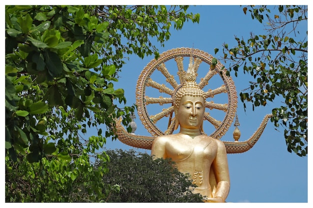 無料写真 ワットプラヤイ寺院、タイの空に触れる仏の有名な歴史的な像