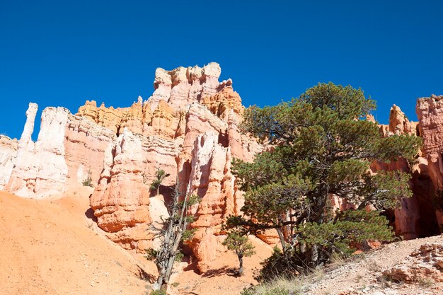 On the famous Navajo Trail in Bryce Canyon, USA