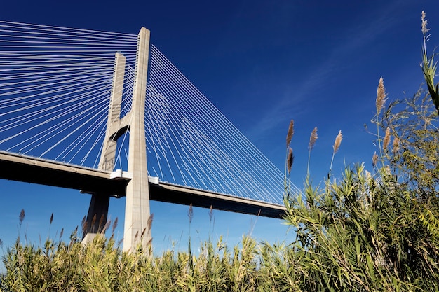 Foto gratuita il famoso ponte vasco da gama a lisbona, portogallo
