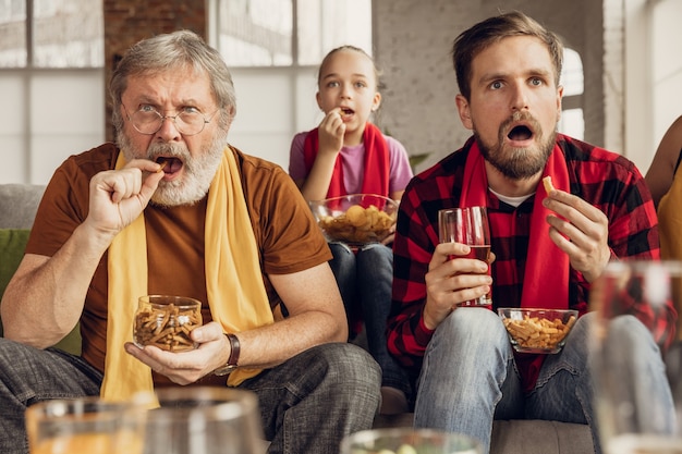 Free photo fans emotional cheering for favourite team. sport, tv, championship.