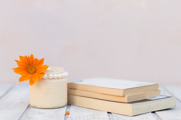 Fantastic background with orange flower and books