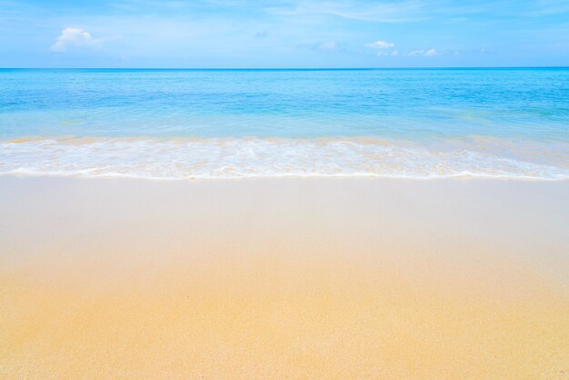 青い海と素晴らしいビーチ