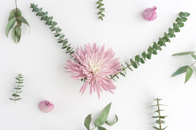 Fantastic composition with flowers and green leaves