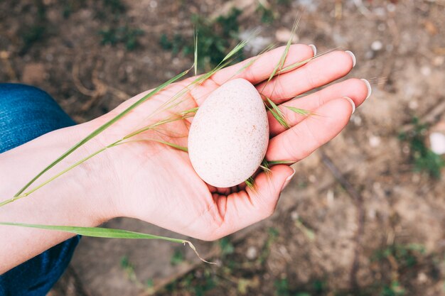 Farm concept with hand holding eggs