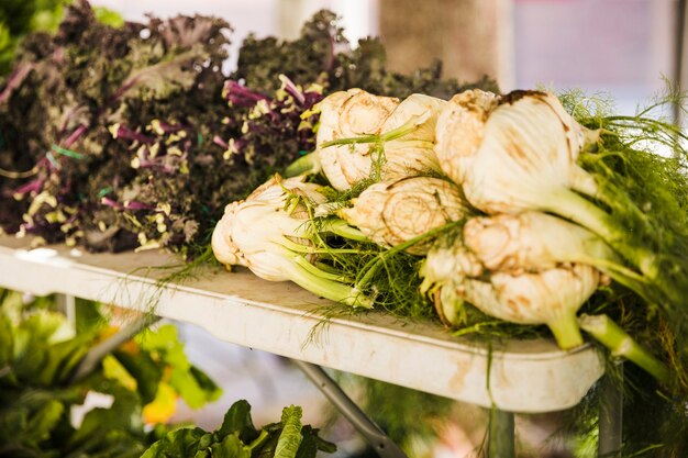 Farm fresh vegetable at farmer agricultural market