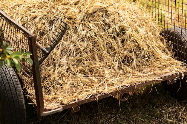 Farm life concept with hay