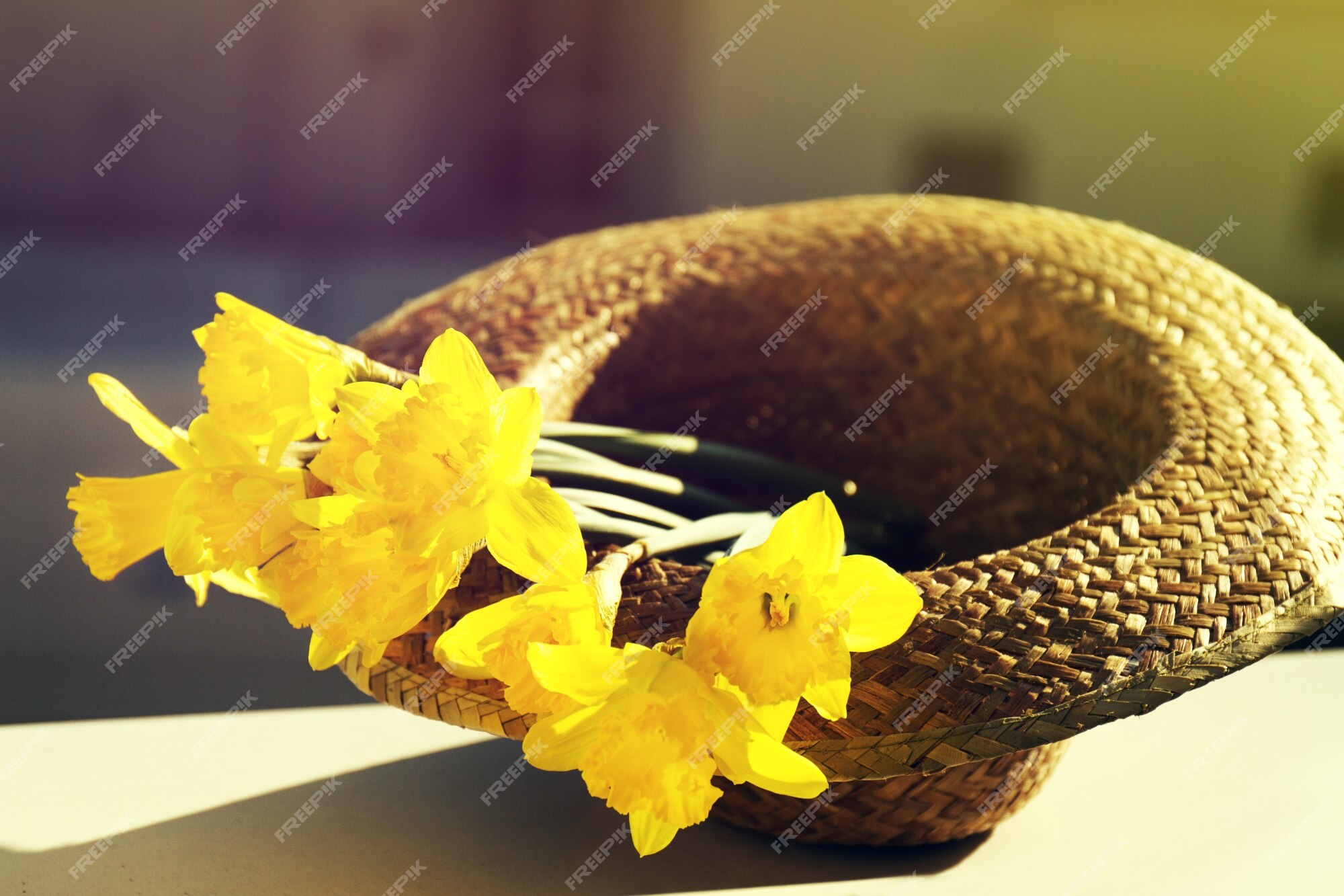 Accessoires  BaskeTTemple