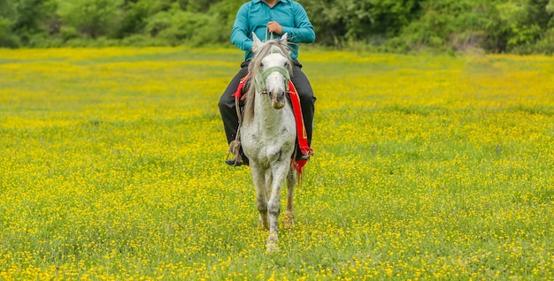 Farm worker horseriding in a farm zone with green grass and yellow flowers