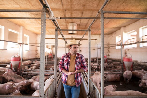 Farm worker walking by pig cages