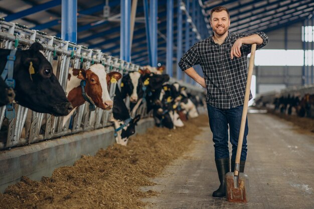 Farmer at cowshed with pitchfork cleaning up