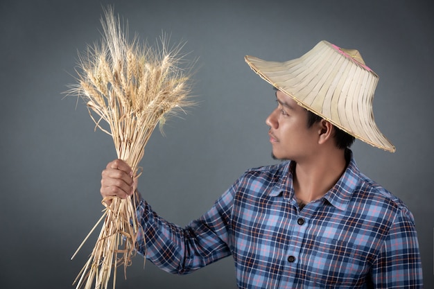 Free photo farmer holding a barley on a gray background.