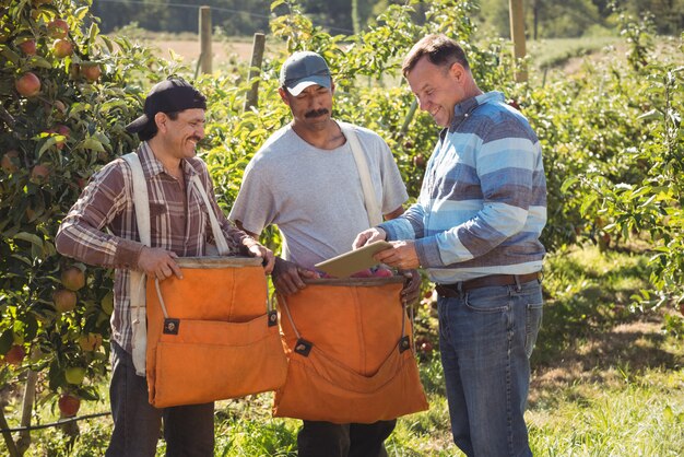 Farmer interacting with farmers in apple orchard