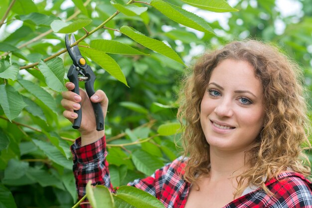 Farmer pruning fruit tree branches in orchard