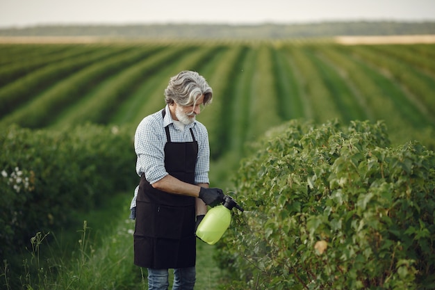 Free photo farmer spraying vegetables in the garden with herbicides. man in a black apron.