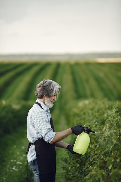 Free photo farmer spraying vegetables in the garden with herbicides. man in a black apron.