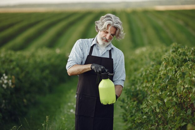 Farmer spraying vegetables in the garden with herbicides. Man in a black apron.