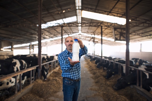 Farmer standing at cow's farm and holding bottle of fresh milk while cows eating hay in background