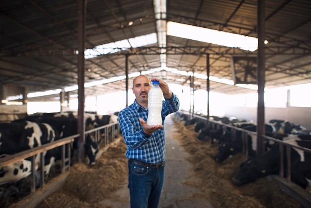 농부는 암소의 농장에 서서 소가 백그라운드에서 건초를 먹는 동안 신선한 우유 병을 들고