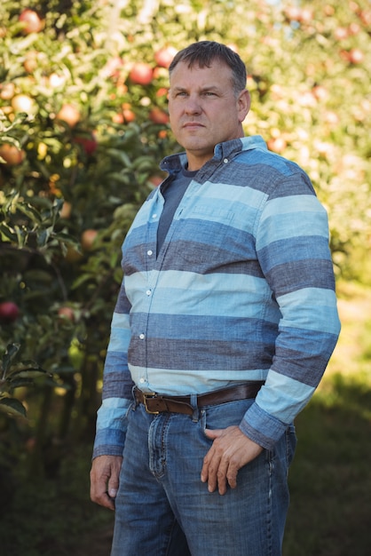 Бесплатное фото Фермер стоя в яблоневом саду
