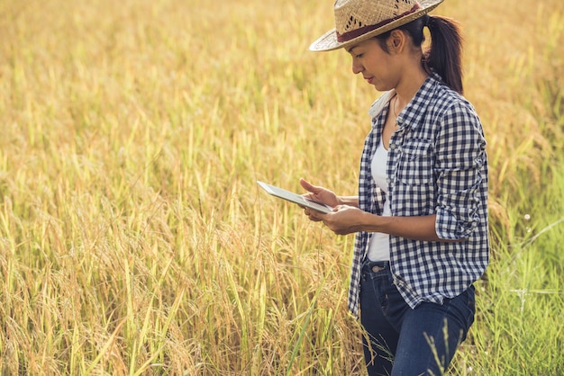 Farmer standing in a rice field with a tablet.