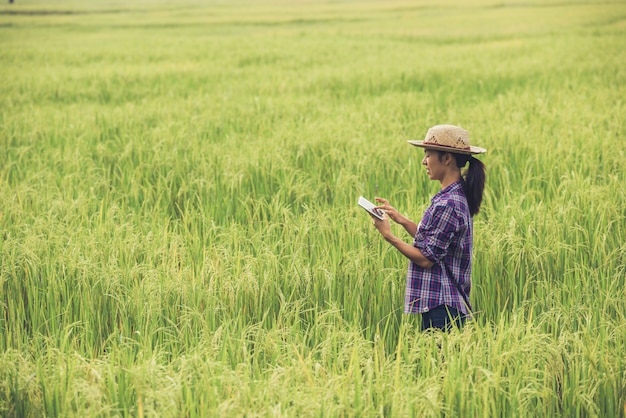 농부는 태블릿 쌀 필드에 서.