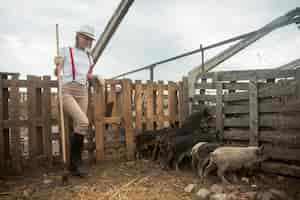 Foto gratuita agricoltore che si prende cura dei maiali in un porcile