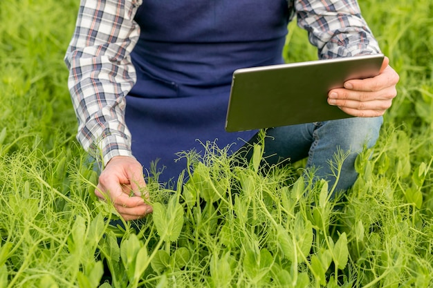 Free photo farmer with tablet close-up