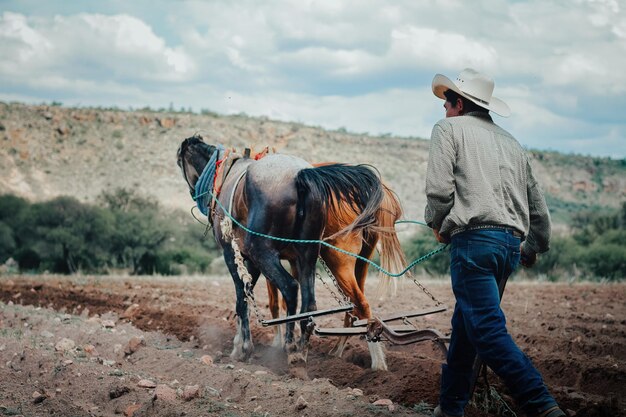 彼の農場で馬と一緒に働いている農夫