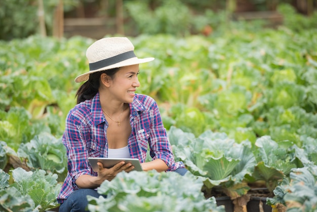 농부들은 채소 농장에서 일하고 있습니다. 디지털 태블릿을 사용하여 야채 식물 검사