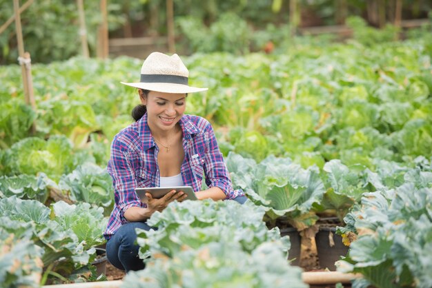 농부들은 채소 농장에서 일하고 있습니다. 디지털 태블릿을 사용하여 야채 식물 검사
