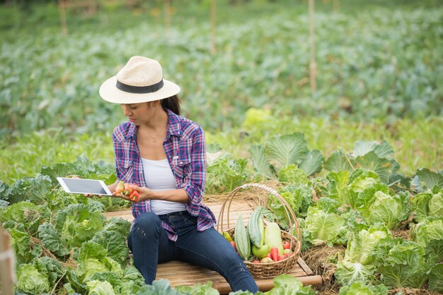 農家は野菜畑で働いています。デジタルタブレットを使用して野菜をチェック