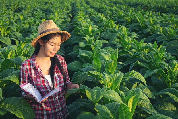 Farmers hold notebook check modern tobacco fields.