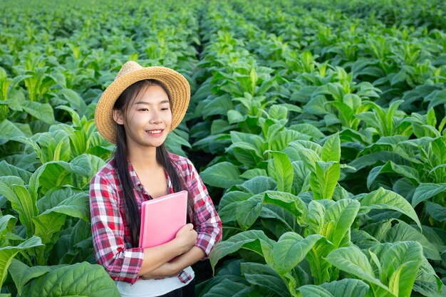 Farmers hold notebook check modern tobacco fields.