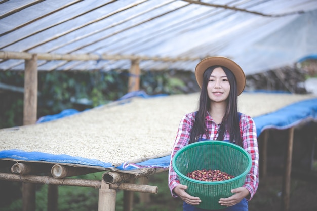 Фермеры, которые выращивают женщин, рады высушить кофейные зерна