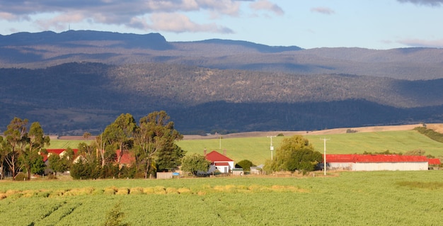 Farmhouse in rural