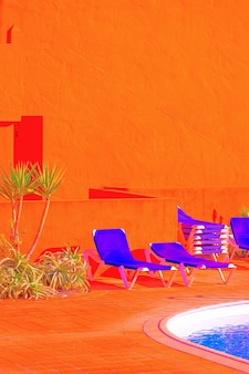 Fashion tropical location orange hotel palm