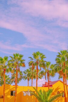 Fashion tropical minimal location. yellow hotel, palm. summer blue sky. canary islands. travel aesthetics wallpaper