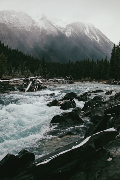 Fast-flowing mountain stream