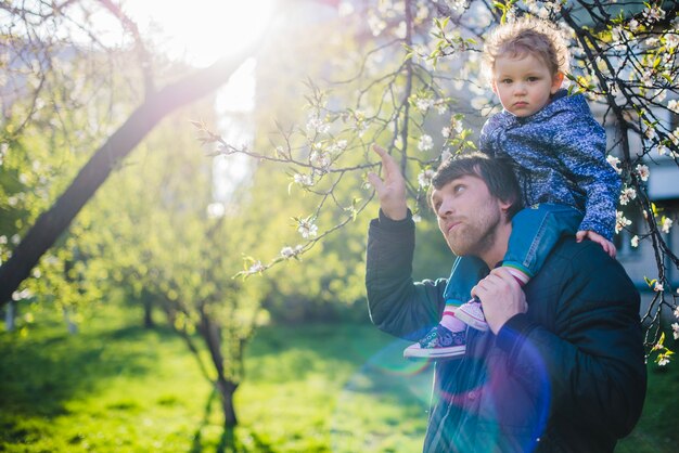 Father looking at a blossoming branch with his son on his shoulders