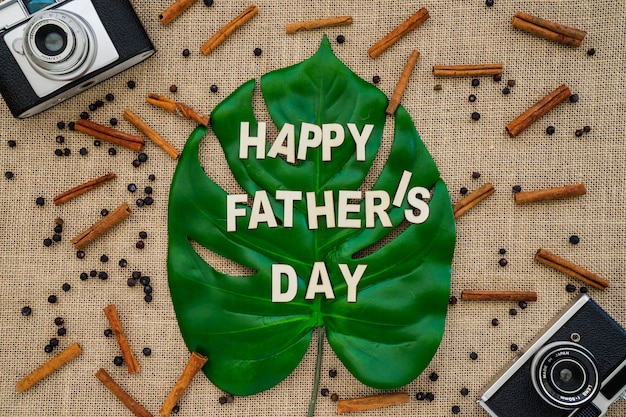 Father's day composition with vintage cameras and palm leaf